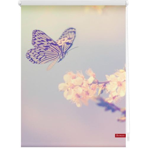4251369832849 - Seitenzugrollo ORIGINAL Rollo Klemmfix ohne Bohren Verdunkelung Schmetterling - Rosa Rollos Gr 60 cm stufenlos positionierbar 150 cm rosa (rosa weiß) Verdunkelungsrollos