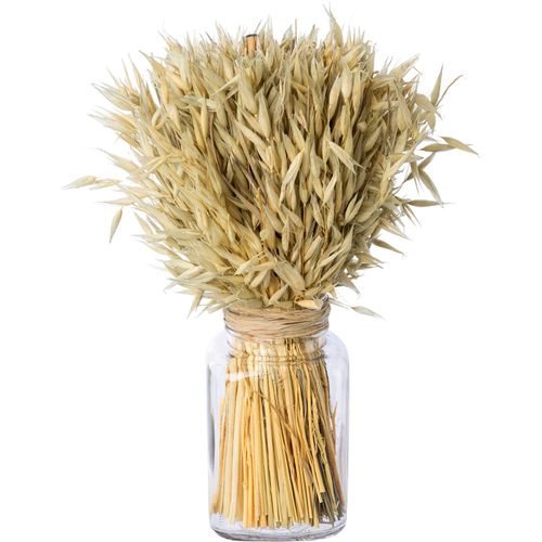 4064118141457 - Trockenblume CREATIV HOME Trockenblumenarrangement im Glas Kunstpflanzen Gr Ø H 9 cm x 30 cm 1 St beige (creme) Trockenblumen 4064118141457 - Trockenblume CREATIV HOME Trockenblumenarrangement im Glas Kunstpflanzen Gr Ø H 9 cm x 30 cm 1 St beige (creme) Trockenblumen