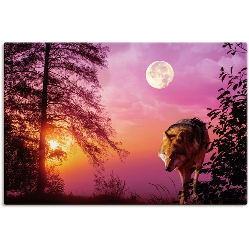 4062144622025 - Wandbild ARTLAND Wolf im Vollmond Bilder Gr B H 120 cm x 80 cm Leinwandbild Wolfbilder Querformat 1 St lila Kunstdrucke als Alubild Leinwandbild Wandaufkleber oder Poster in versch Größen 4062144622025 - Wandbild ARTLAND Wolf im Vollmond Bilder Gr B H 120 cm x 80 cm Leinwandbild Wolfbilder Querformat 1 St lila Kunstdrucke als Alubild Leinwandbild Wandaufkleber oder Poster in versch Größen