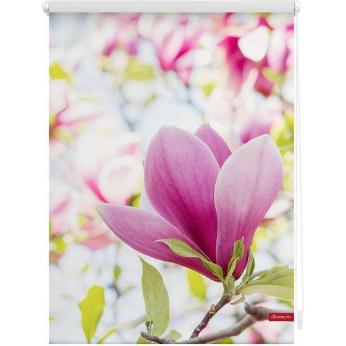 4251369834201 - Seitenzugrollo ORIGINAL Rollo Klemmfix ohne Bohren Verdunkelung Magnolie - Rosa Rollos Gr 80 cm stufenlos positionierbar 150 cm rosa (rosa weiß) Verdunkelungsrollos 4251369834201 - Seitenzugrollo ORIGINAL Rollo Klemmfix ohne Bohren Verdunkelung Magnolie - Rosa Rollos Gr 80 cm stufenlos positionierbar 150 cm rosa (rosa weiß) Verdunkelungsrollos