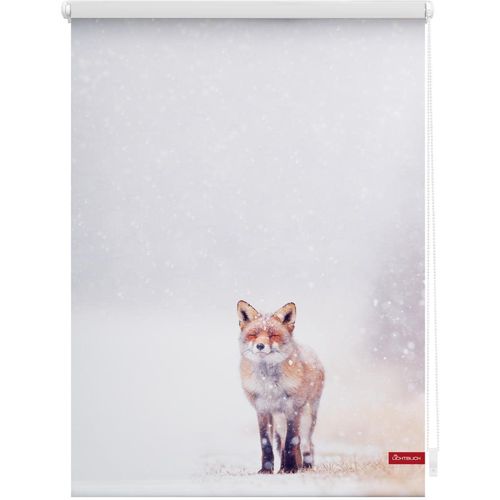 4251369836199 - Seitenzugrollo ORIGINAL Rollo Klemmfix ohne Bohren Verdunkelung Fuchs im Schnee - Weiß Rot Rollos Gr 120 cm stufenlos positionierbar 150 cm rot (weiß rot weiß) Kinder Kinderzimmer-Rollos