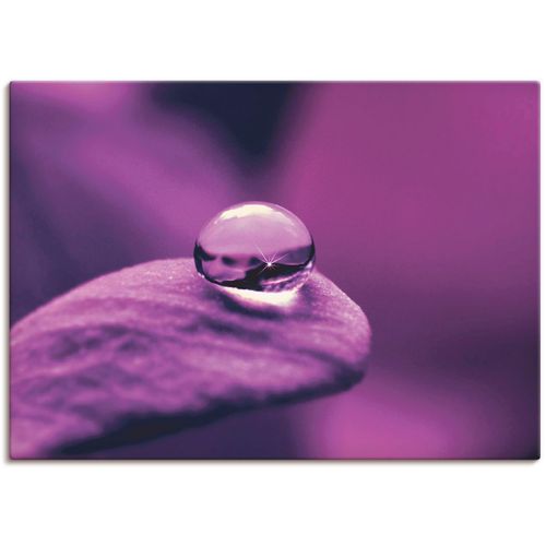 4055327324281 - Wandbild ARTLAND Amethyst Bilder Gr B H 120 cm x 90 cm Leinwandbild Blumen 1 St lila Bild Kunstdruck Leinwandbild Kunstdrucke Bilder als Leinwandbild Wandaufkleber oder Poster in versch Größen