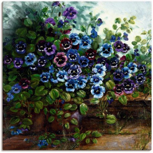 4055327139076 - Wandbild ARTLAND Stiefmütterchen II Bilder Gr B H 100 cm x 100 cm Leinwandbild Blumen 1 St blau Bild Poster Bilder als Alubild Leinwandbild Wandaufkleber oder in versch Größen 4055327139076 - Wandbild ARTLAND Stiefmütterchen II Bilder Gr B H 100 cm x 100 cm Leinwandbild Blumen 1 St blau Bild Poster Bilder als Alubild Leinwandbild Wandaufkleber oder in versch Größen