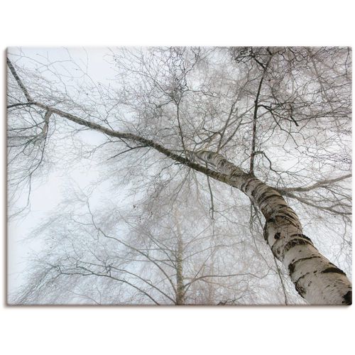 4057738065739 - Wandbild ARTLAND Winter Birke Bilder Gr B H 120 cm x 90 cm Leinwandbild Bäume Querformat 1 St grau Bild Poster Bilder als Leinwandbild Wandaufkleber oder in versch Größen 4057738065739 - Wandbild ARTLAND Winter Birke Bilder Gr B H 120 cm x 90 cm Leinwandbild Bäume Querformat 1 St grau Bild Poster Bilder als Leinwandbild Wandaufkleber oder in versch Größen