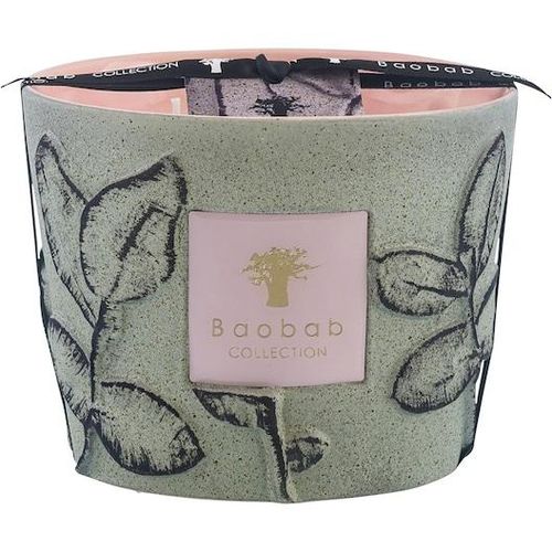 5415198518940 - Baobab Home Scented-CandlesDuftkerze Folia Maquis Max 10 1150 g (8261 €   1 kg)