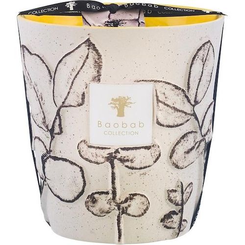 5415198519060 - Baobab Home Scented-CandlesDuftkerze Folia Calanque Max 16 2050 g (6341 € 1 kg) 5415198519060 - Baobab Home Scented-CandlesDuftkerze Folia Calanque Max 16 2050 g (6341 € 1 kg)