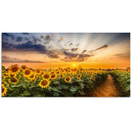 4062144760758 - Wandbild ARTLAND Sonnenblumenfeld bei Sonnenuntergang Bilder Gr B H 150 cm x 75 cm Alu-Dibond-Druck Blumenbilder Querformat 1 St gelb Kunstdrucke als Alubild Leinwandbild Wandaufkleber oder Poster in versch Größen