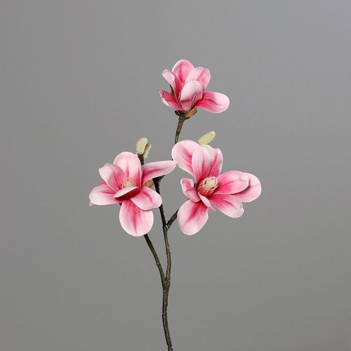 4027234906669 - Kunstblume Magnolie