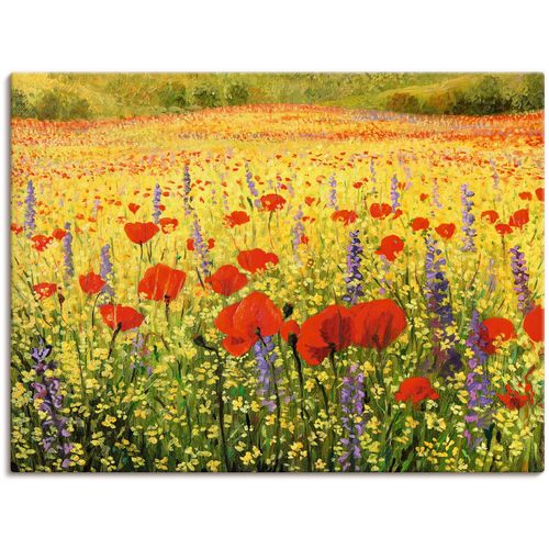 4062144597651 - Wandbild ARTLAND Mohnblumenfeld Bilder Gr B H 120 cm x 90 cm Leinwandbild Felder Querformat 1 St bunt Kunstdrucke als Alubild Leinwandbild Wandaufkleber oder Poster in versch Größen
