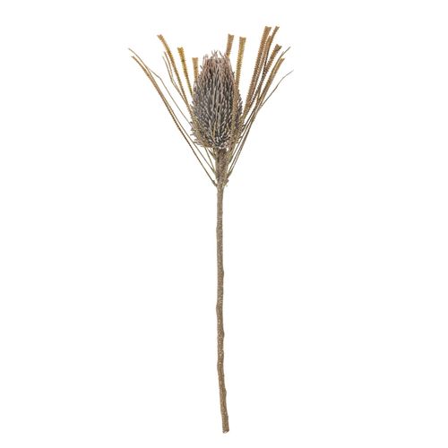 5711173332113 - Palmflower Stiel Künstliche Blume Ø 21 x H72 cm 5711173332113 - Palmflower Stiel Künstliche Blume Ø 21 x H72 cm