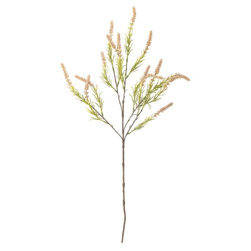 5711173332120 - Foxtail Stiel künstlich Ø 25 x H76 cm 5711173332120 - Foxtail Stiel künstlich Ø 25 x H76 cm