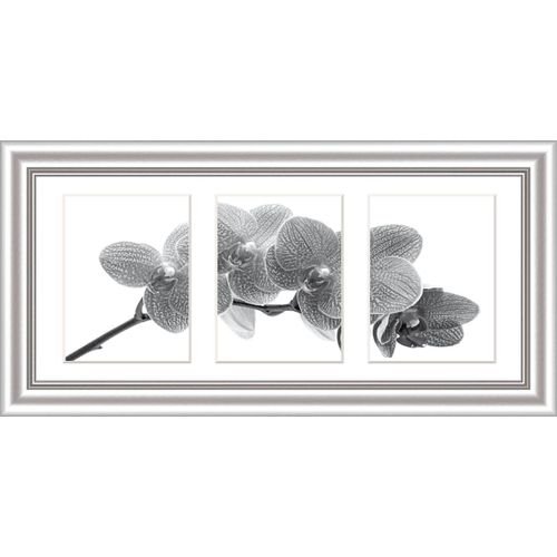 4250423805690 - Bilderrahmen ELEGANCE silber (BH 56x29 cm) BH 56x29 cm grau Fotorahmen