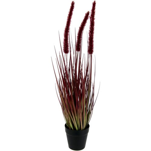 4019844769864 - Kunstpflanze IGEA Fuchsschwanzgras rot B12cm H53cm Obermaterial 90% Kunststoff 10% Polyester Kunstpflanzen Im Topf