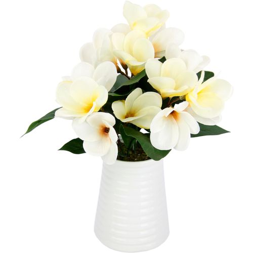 4019844803810 - Kunstblume IGEA Frangipani in Vase aus Keramik beige (creme) B25cm H35cm L20cm Polyester Kunstpflanzen 4019844803810 - Kunstblume IGEA Frangipani in Vase aus Keramik beige (creme) B25cm H35cm L20cm Polyester Kunstpflanzen