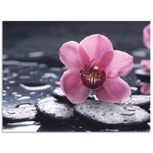 4057738374381 - Wandbild ARTLAND Stillleben mit Kiesel und einer Orchidee Bilder Gr B H 60 cm x 45 cm Alu-Dibond-Druck Blumen Querformat 1 St pink Bild Poster Bilder als Alubild Leinwandbild Wandaufkleber oder in versch Größen