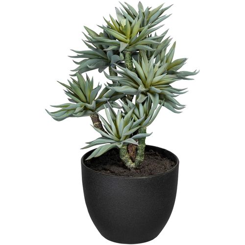 4064118143611 - Künstliche Zimmerpflanze CREATIV GREEN Dracaena draco Kunstpflanzen Gr Ø H 15 cm x 30 cm 1 St grün Künstliche Zimmerpflanzen im Topf 4064118143611 - Künstliche Zimmerpflanze CREATIV GREEN Dracaena draco Kunstpflanzen Gr Ø H 15 cm x 30 cm 1 St grün Künstliche Zimmerpflanzen im Topf
