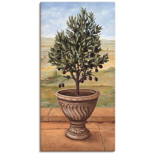 4055327160452 - Wandbild ARTLAND Olivenbaum Bilder Gr B H 30 cm x 60 cm Leinwandbild Pflanzen 1 St grün Bild Metallbild Metallbilder Bilder als Alubild Leinwandbild Wandaufkleber oder Poster in versch Größen 4055327160452 - Wandbild ARTLAND Olivenbaum Bilder Gr B H 30 cm x 60 cm Leinwandbild Pflanzen 1 St grün Bild Metallbild Metallbilder Bilder als Alubild Leinwandbild Wandaufkleber oder Poster in versch Größen