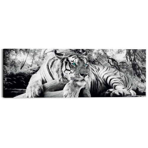 8714597554052 - Wandbild REINDERS Tigerblick Wandbild Tiger - Raubtier - Wandbild Wohnzimmer - Wandbild schwarz (farbe bild(er) schwarz) B118cm H40cm T2cm Bilder 8714597554052 - Wandbild REINDERS Tigerblick Wandbild Tiger - Raubtier - Wandbild Wohnzimmer - Wandbild schwarz (farbe bild(er) schwarz) B118cm H40cm T2cm Bilder