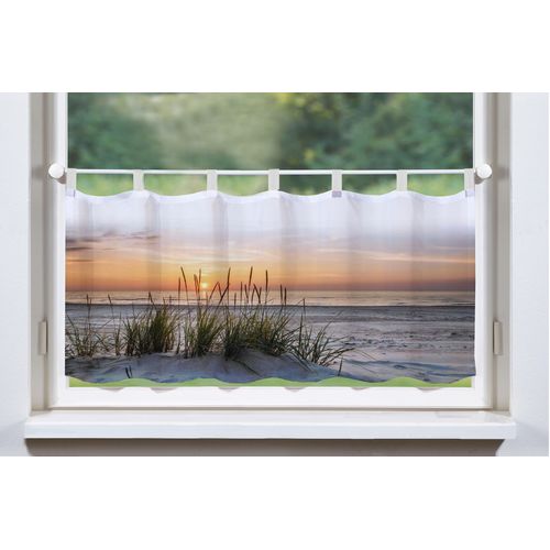 4056751381352 - Scheibengardine HOME WOHNIDEEN EVENING Gr 1 beige (natur) B120cm H45cm Polyester Gardinen HxB 45x120 Dekostoff Digitaldruck 4056751381352 - Scheibengardine HOME WOHNIDEEN EVENING Gr 1 beige (natur) B120cm H45cm Polyester Gardinen HxB 45x120 Dekostoff Digitaldruck