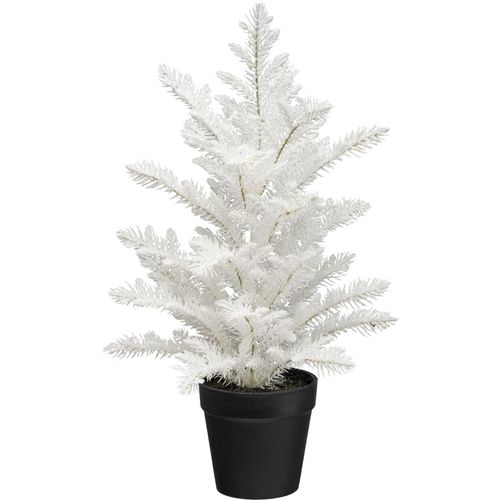 4064118351825 - Winterliche Kunstpflanze CREATIV GREEN Tannenbäumchen Araucaria weiß H39cm Ø17cm Kunststoff Kunstpflanzen mit Glitzeroptik