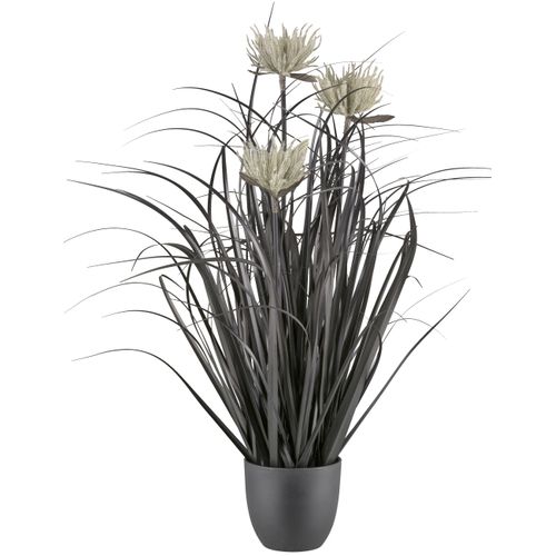 4064118351849 - Kunstgras CREATIV GREEN Grasbusch schwarz H63cm Ø18cm Kunststoff Kunstpflanzen mit Blüten 4064118351849 - Kunstgras CREATIV GREEN Grasbusch schwarz H63cm Ø18cm Kunststoff Kunstpflanzen mit Blüten