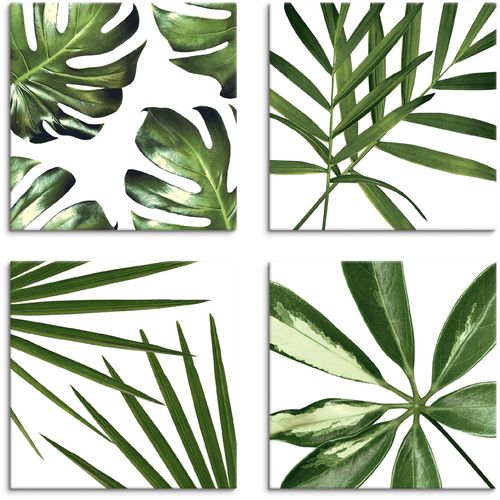 4062144354469 - Leinwandbild ARTLAND Blätter Bilder Gr B H 40 cm x 40 cm Leinwandbild Blätter quadratisch 4 St grün Bild Leinwandbild Leinwandbilder Bilder 4er Set verschiedene Größen 4062144354469 - Leinwandbild ARTLAND Blätter Bilder Gr B H 40 cm x 40 cm Leinwandbild Blätter quadratisch 4 St grün Bild Leinwandbild Leinwandbilder Bilder 4er Set verschiedene Größen