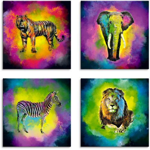 4062144353141 - Leinwandbild ARTLAND Farbexplosion Elefant Löwe Zebra Tiger Bilder Gr B H 30 cm x 30 cm Leinwandbild Wildtiere quadratisch 4 St bunt Bild Leinwandbild Leinwandbilder Bilder 4er Set verschiedene Größen