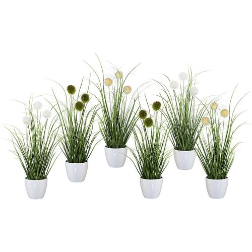 4003529407578 - Grasbusch mit Kletten im Topf VE 6 Stk Höhe 360 mm kaiserkraft