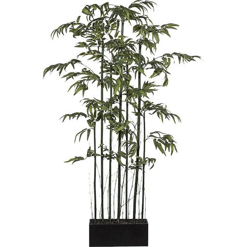 4003529982808 - Bambusraumteiler mit Naturstamm und im Holzkasten Gesamthöhe 1800 mm kaiserkraft 4003529982808 - Bambusraumteiler mit Naturstamm und im Holzkasten Gesamthöhe 1800 mm kaiserkraft