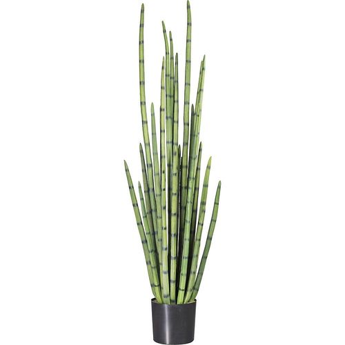 4003529230374 - Sansevieria cylindrica im Kunststofftopf Höhe 1400 mm kaiserkraft 4003529230374 - Sansevieria cylindrica im Kunststofftopf Höhe 1400 mm kaiserkraft