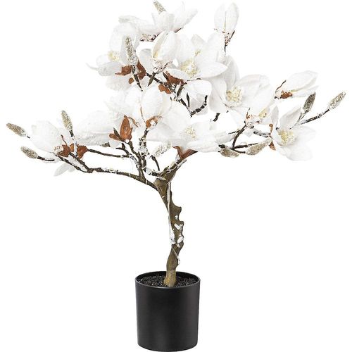 4064118001973 - LED-Magnolienbaum beschneit im Kunststofftopf weiß Höhe 580 mm mit 20 LEDs kaiserkraft