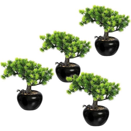4064118809067 - Bonsai Lärche Behältnis-Ø 100 mm VE 4 Stk Höhe 190 mm kaiserkraft