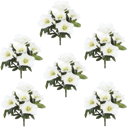 4064118111139 - Christrosenbüsche 6 Stück grün mit weißen Blüten Höhe 250 mm kaiserkraft 4064118111139 - Christrosenbüsche 6 Stück grün mit weißen Blüten Höhe 250 mm kaiserkraft