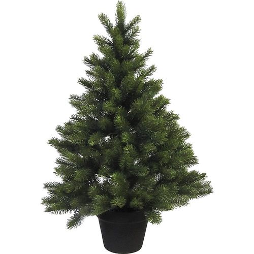 4003529807378 - Zimmertanne im Topf grün Höhe 90 cm 287 Spitzen kaiserkraft