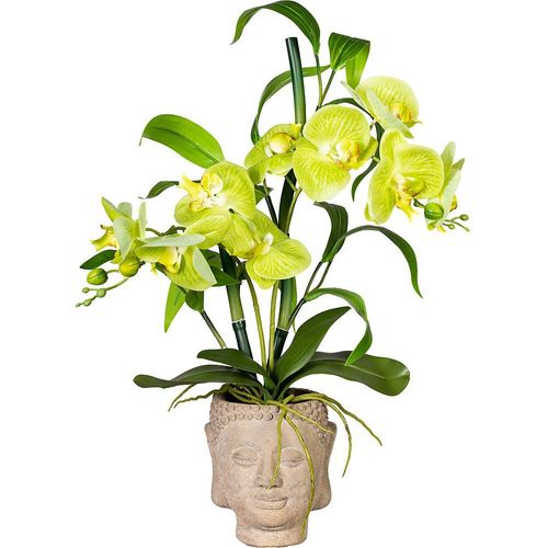 4064118076544 - Orchideen-Bambus Arrangement im Zementtopf Buddha grün real touch Höhe ca 600 mm kaiserkraft 4064118076544 - Orchideen-Bambus Arrangement im Zementtopf Buddha grün real touch Höhe ca 600 mm kaiserkraft