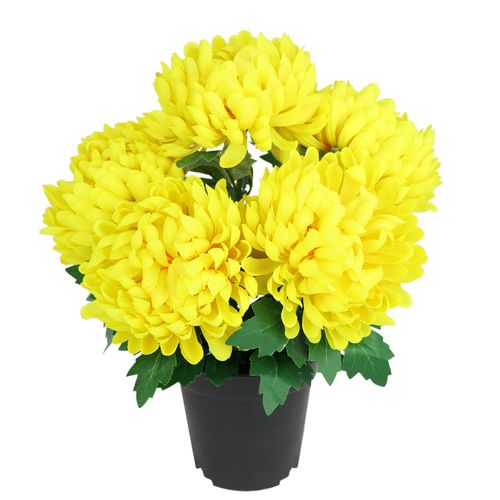 4019844821999 - Kunstblume IGEA Chrysantheme im Topf gelb B26cm H31cm L26cm Polyester Kunstpflanzen Blume Dekoblume Herbstblume Herbstdeko künstlich Kunstpflanze Pflanze 4019844821999 - Kunstblume IGEA Chrysantheme im Topf gelb B26cm H31cm L26cm Polyester Kunstpflanzen Blume Dekoblume Herbstblume Herbstdeko künstlich Kunstpflanze Pflanze