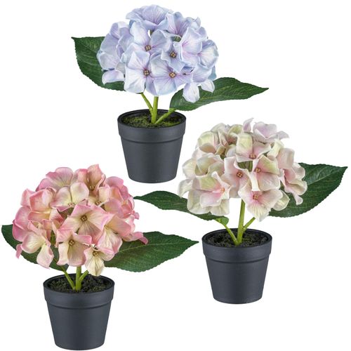 4064118352044 - Kunstblume CREATIV GREEN Mini-Hortensie in Pastellfarben bunt B25cm H20cm L13cm Kunststoff Kunstpflanzen mit Glitzerschimmer 4064118352044 - Kunstblume CREATIV GREEN Mini-Hortensie in Pastellfarben bunt B25cm H20cm L13cm Kunststoff Kunstpflanzen mit Glitzerschimmer