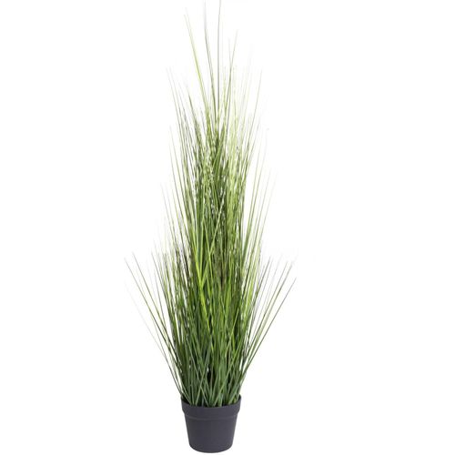 8505455161716 - Kunstgras BOTANIC-HAUS Gras Festuca Kunstpflanzen Gr Ø H 33 cm x 115 cm 1 St grün Kunst-Gräser Kunstpflanzen 8505455161716 - Kunstgras BOTANIC-HAUS Gras Festuca Kunstpflanzen Gr Ø H 33 cm x 115 cm 1 St grün Kunst-Gräser Kunstpflanzen