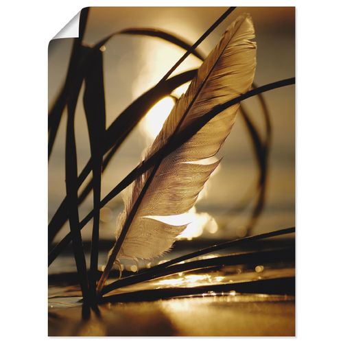 4055327771474 - Wandbild ARTLAND Feder im Abendlicht Bilder Gr B H 30 cm x 40 cm Poster Gräser Hochformat 1 St goldfarben Bild Leinwandbild Kunstdrucke Bilder als Leinwandbild Wandaufkleber oder Poster in versch Größen 4055327771474 - Wandbild ARTLAND Feder im Abendlicht Bilder Gr B H 30 cm x 40 cm Poster Gräser Hochformat 1 St goldfarben Bild Leinwandbild Kunstdrucke Bilder als Leinwandbild Wandaufkleber oder Poster in versch Größen