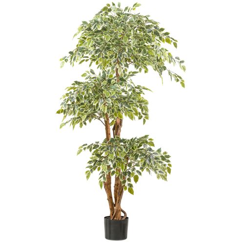 4064118242017 - Kunstpflanze CREATIV GREEN Ficus benjamina grün (grünweiß) H165cm Kunststoff Kunstpflanzen mit Naturstamm 4064118242017 - Kunstpflanze CREATIV GREEN Ficus benjamina grün (grünweiß) H165cm Kunststoff Kunstpflanzen mit Naturstamm