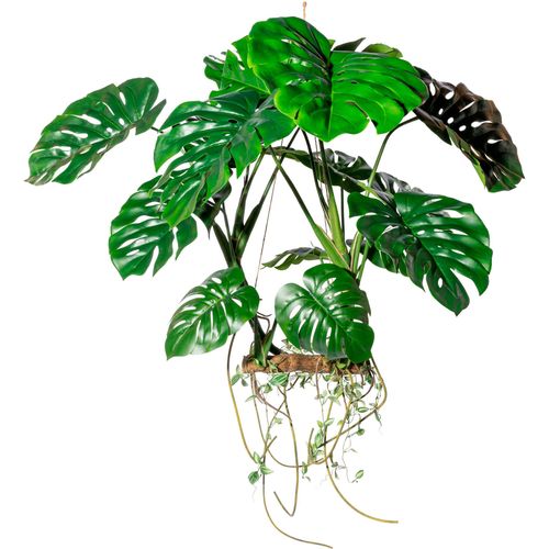 4064118144250 - Kunstbaum CREATIV GREEN Hängeobjekt Splitphilodendron grün Kunstpflanzen B H 90cm x 100cm Kunststoff B90cm H100cm T44cm 4064118144250 - Kunstbaum CREATIV GREEN Hängeobjekt Splitphilodendron grün Kunstpflanzen B H 90cm x 100cm Kunststoff B90cm H100cm T44cm