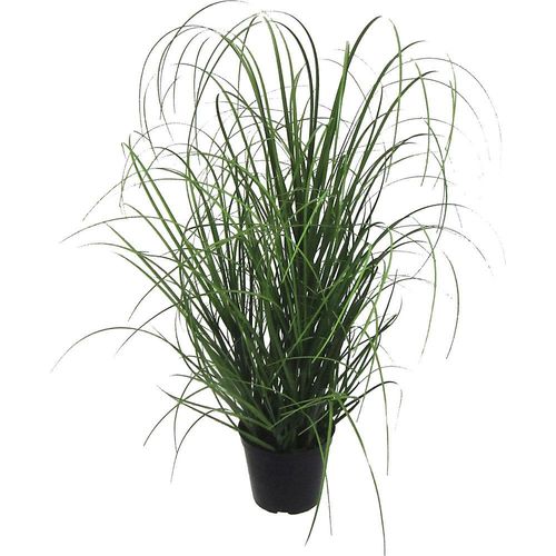 4003529798737 - Grasbusch in Kunststofftopf schwarz Höhe 600 mm VE 3 Stk kaiserkraft