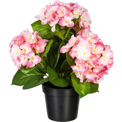 4064118079187 - Kunstpflanze CREATIV GREEN Hortensienbusch Kunstpflanzen Gr H 32 cm 1 St rosa Kunstpflanze Zimmerpflanze Künstliche Zimmerpflanzen Kunstpflanzen 4064118079187 - Kunstpflanze CREATIV GREEN Hortensienbusch Kunstpflanzen Gr H 32 cm 1 St rosa Kunstpflanze Zimmerpflanze Künstliche Zimmerpflanzen Kunstpflanzen