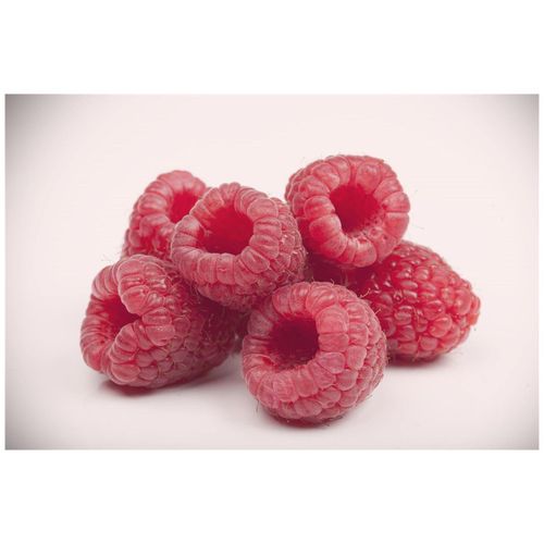 4063654821052 - Rubus idaeus Boheme Himbeere 30–40 cm
