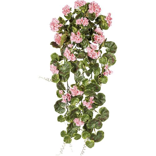 4003529258613 - Geranienhänger Höhe 800 mm UV-beständig Blüten rosa kaiserkraft