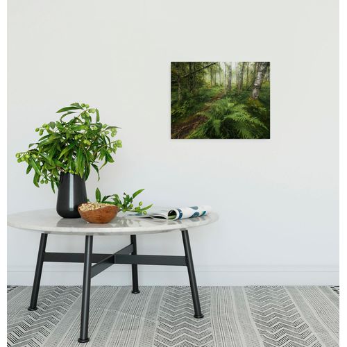 4055065031717 - Leinwandbild Keilrahmenbild - Mystic Birch Grove - Größe 40 x 30 cm Baum Berge Blumen Blätter Foto Jahreszeiten Landschaft Meer Natur Palmen Strand (Packung 1 St) 40x30 cm (Breite x Höhe) Keilrahmenbild bunt