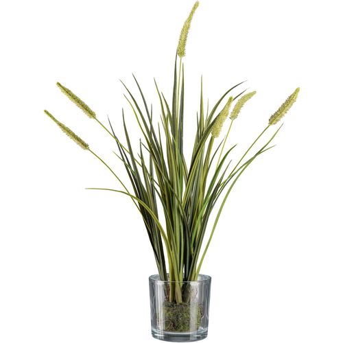 4064118117445 - Kunstgras CREATIV GREEN Grasbusch Miscanthus im Erdballen mit Glas grün H63cm Obermaterial 100% Polyethylen Kunstpflanzen 4064118117445 - Kunstgras CREATIV GREEN Grasbusch Miscanthus im Erdballen mit Glas grün H63cm Obermaterial 100% Polyethylen Kunstpflanzen