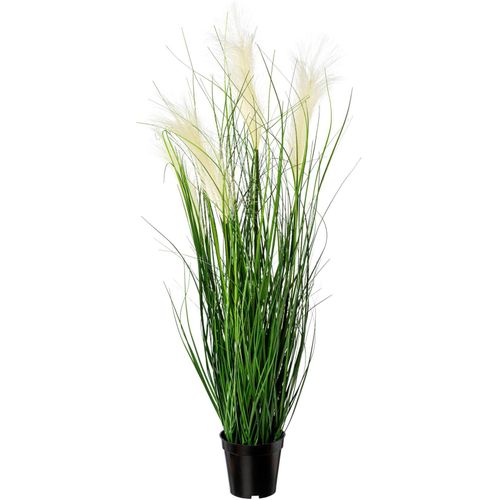 4064118143680 - Kunstgras CREATIV GREEN Grasbusch Kunstpflanzen Gr Ø H 25 cm x 92 cm 1 St beige (creme) Kunst-Gräser mit Blüten im Topf 4064118143680 - Kunstgras CREATIV GREEN Grasbusch Kunstpflanzen Gr Ø H 25 cm x 92 cm 1 St beige (creme) Kunst-Gräser mit Blüten im Topf