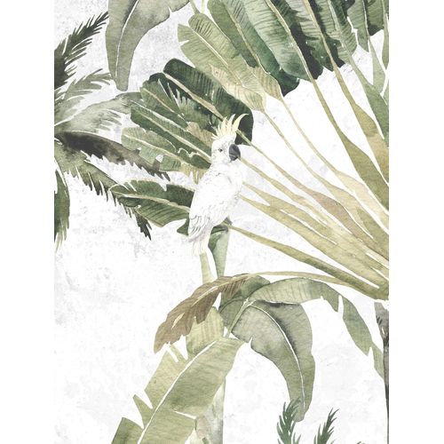 4055065179716 - Bild KOMAR Oiseau Cacadoo bunt (farbe bild(er) bunt) B30cm H40cm Papier Holz Bilder Wandbild zur Dekoration - ohne Rahmen 4055065179716 - Bild KOMAR Oiseau Cacadoo bunt (farbe bild(er) bunt) B30cm H40cm Papier Holz Bilder Wandbild zur Dekoration - ohne Rahmen
