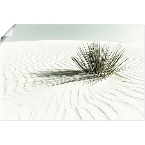 4062144650325 - Wandbild ARTLAND Dünen weißer Sand Vintage Bilder Gr B H 60 cm x 40 cm Poster Strandbilder Querformat 1 St weiß Kunstdrucke als Alubild Leinwandbild Wandaufkleber oder Poster in versch Größen